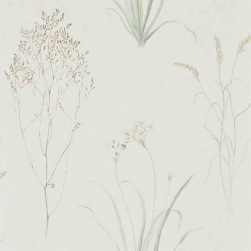 Farne Grasses 216488